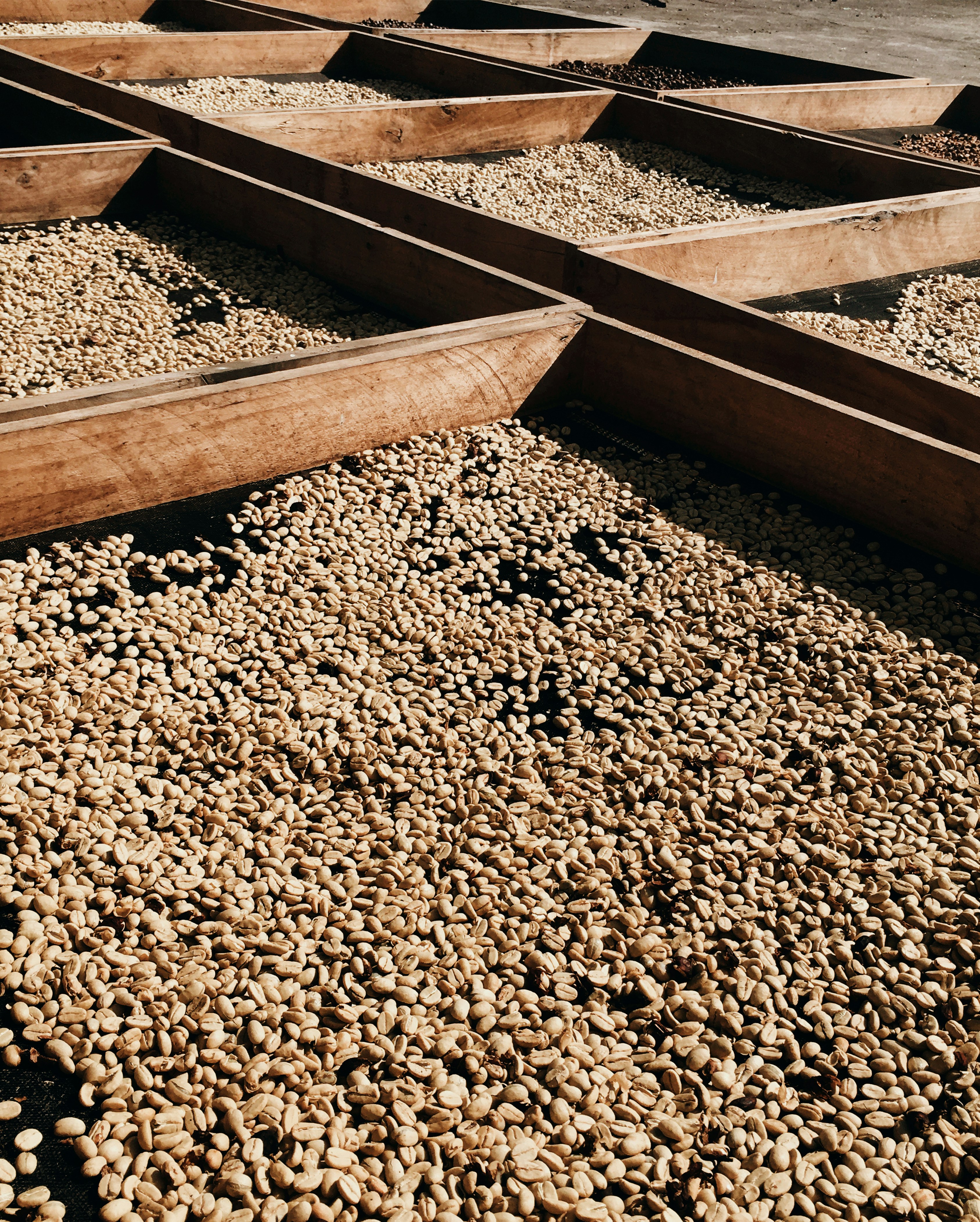 Sun drying process